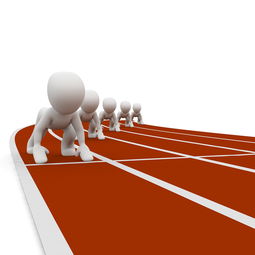 开云官网APP下载-中小学体育教师培训需求调查，中小学体育教师培训内容  第3张