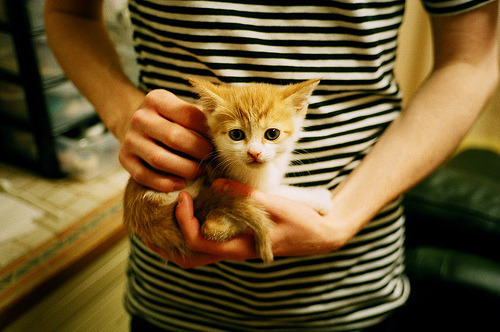 开云kaiyun-中小学体育教师教学技能提升策略,中小学体育教师综合素质提升策略 第3张 开云kaiyun-中小学体育教师教学技能提升策略,中小学体育教师综合素质提升策略 第3张