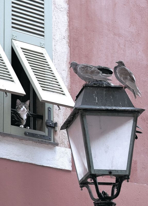 开云体育APP下载-中小学体育教师教学方法创新探索，浅谈小学体育教学的创新  第4张