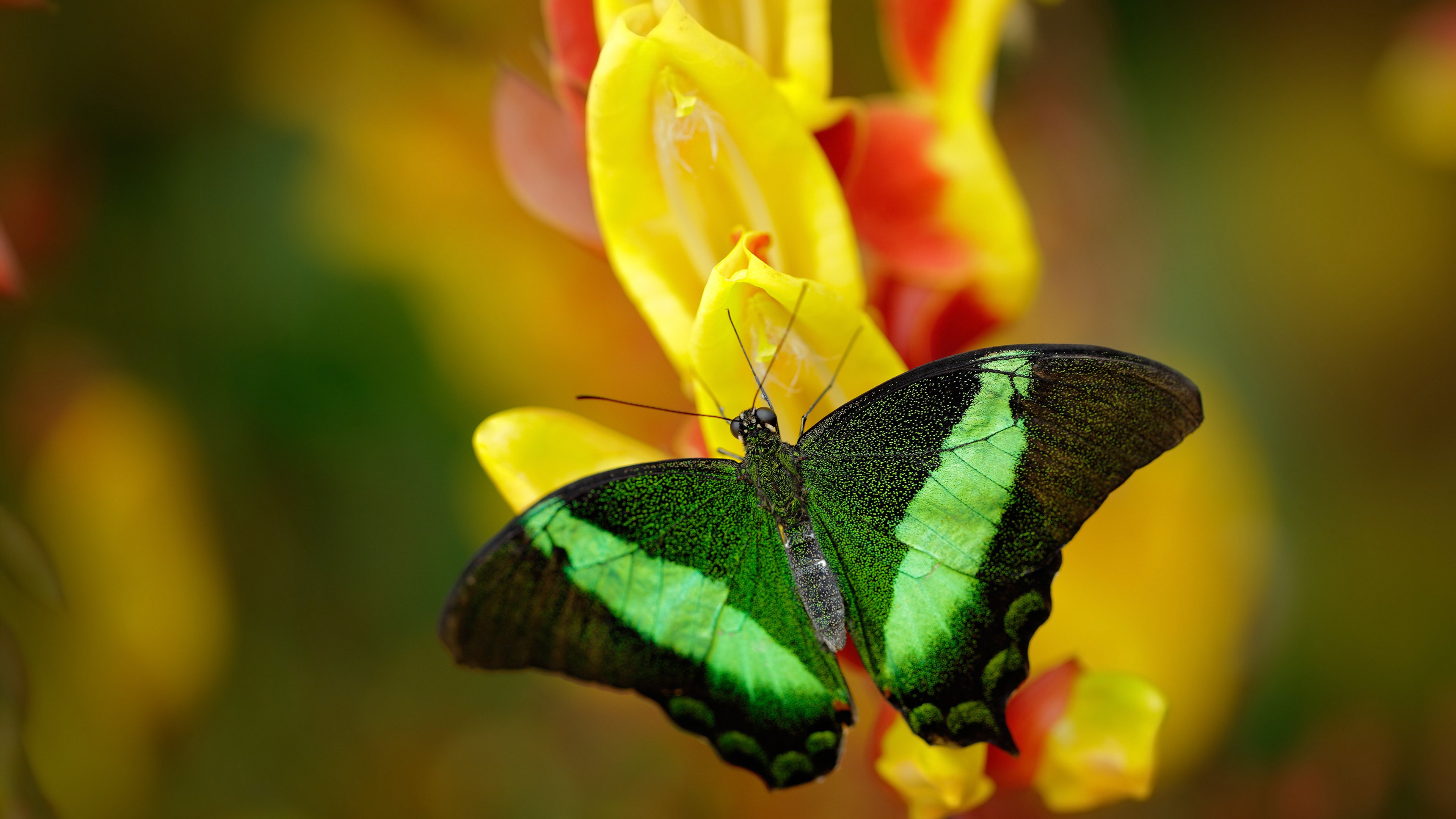 开云kaiyun-中小学体育教师教学方法多样化实践,中小学体育教师教学的主要问题 第5张 开云kaiyun-中小学体育教师教学方法多样化实践,中小学体育教师教学的主要问题 第5张