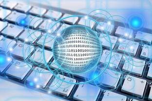 开云网页版登录入口-中小学体育教师数字化教学能力提升路径,数字化体育教学应用 第2张 开云网页版登录入口-中小学体育教师数字化教学能力提升路径,数字化体育教学应用 第2张