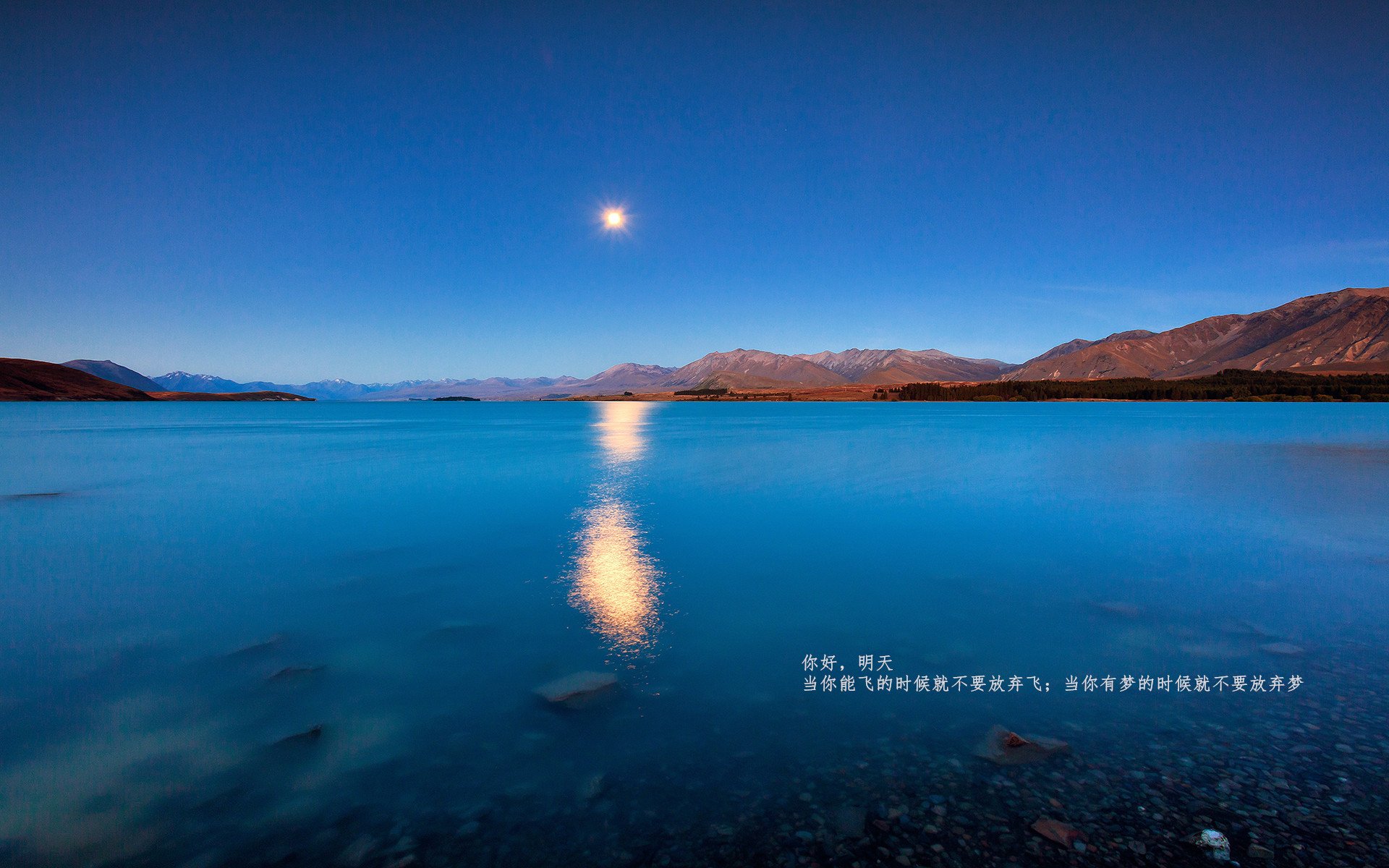 开云网站-体育场馆服务标准制定，体育场馆服务质量标准的制定与实施  第3张