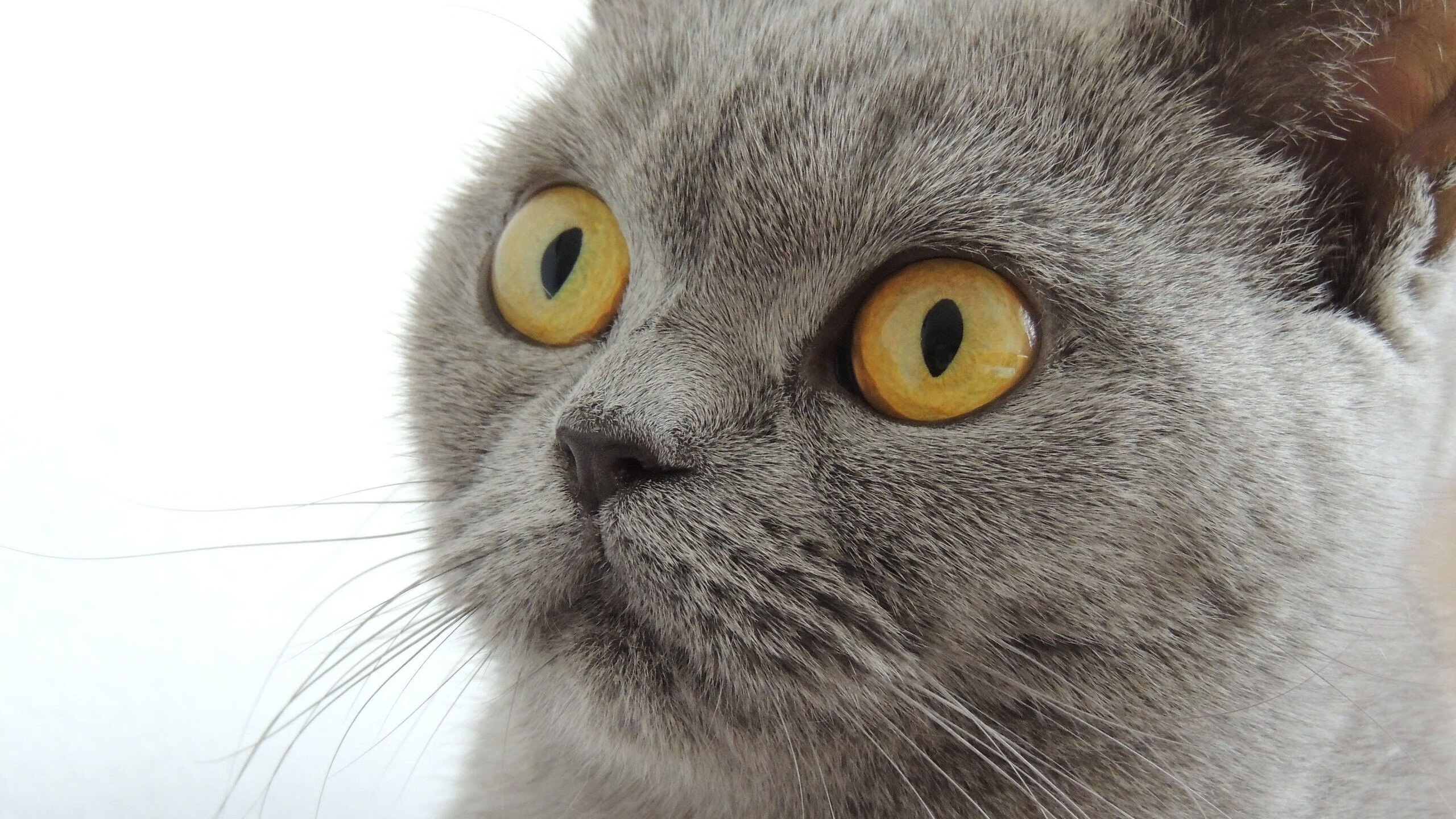 开云体育APP下载-校园体育文化对学生健康行为的影响,校园体育文化对学生健康行为的影响论文 第6张 开云体育APP下载-校园体育文化对学生健康行为的影响,校园体育文化对学生健康行为的影响论文 第6张