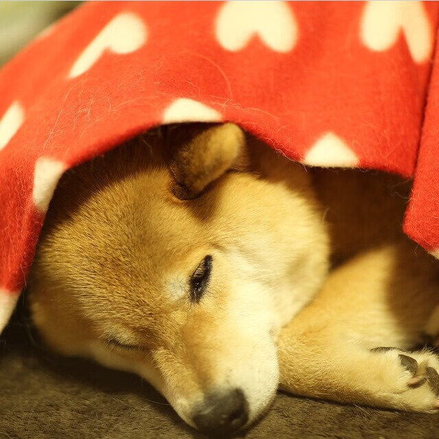 开云中国大陆-CBA联赛推广青少年篮球普及,青少年篮球选拔赛 第3张 开云中国大陆-CBA联赛推广青少年篮球普及,青少年篮球选拔赛 第3张