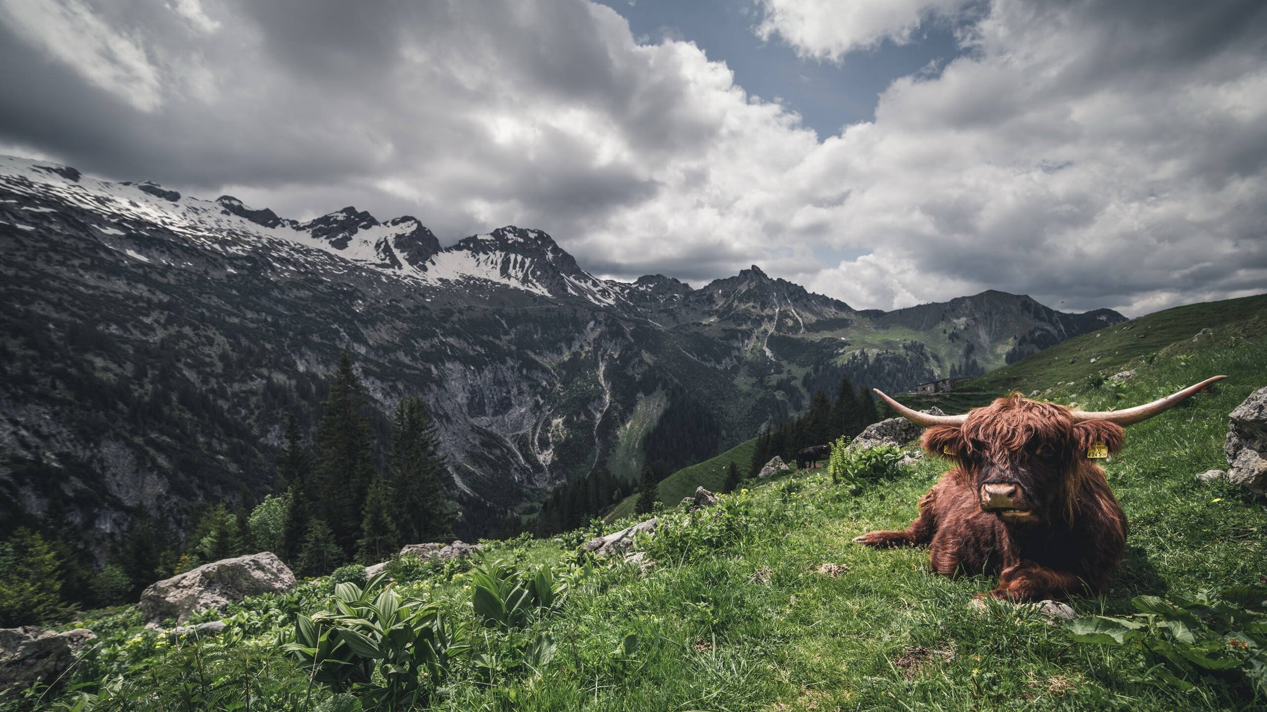 开云kaiyun-Chinese Taipei:跨越未来发展的新高峰,taipei. 第3张 开云kaiyun-Chinese Taipei:跨越未来发展的新高峰,taipei. 第3张