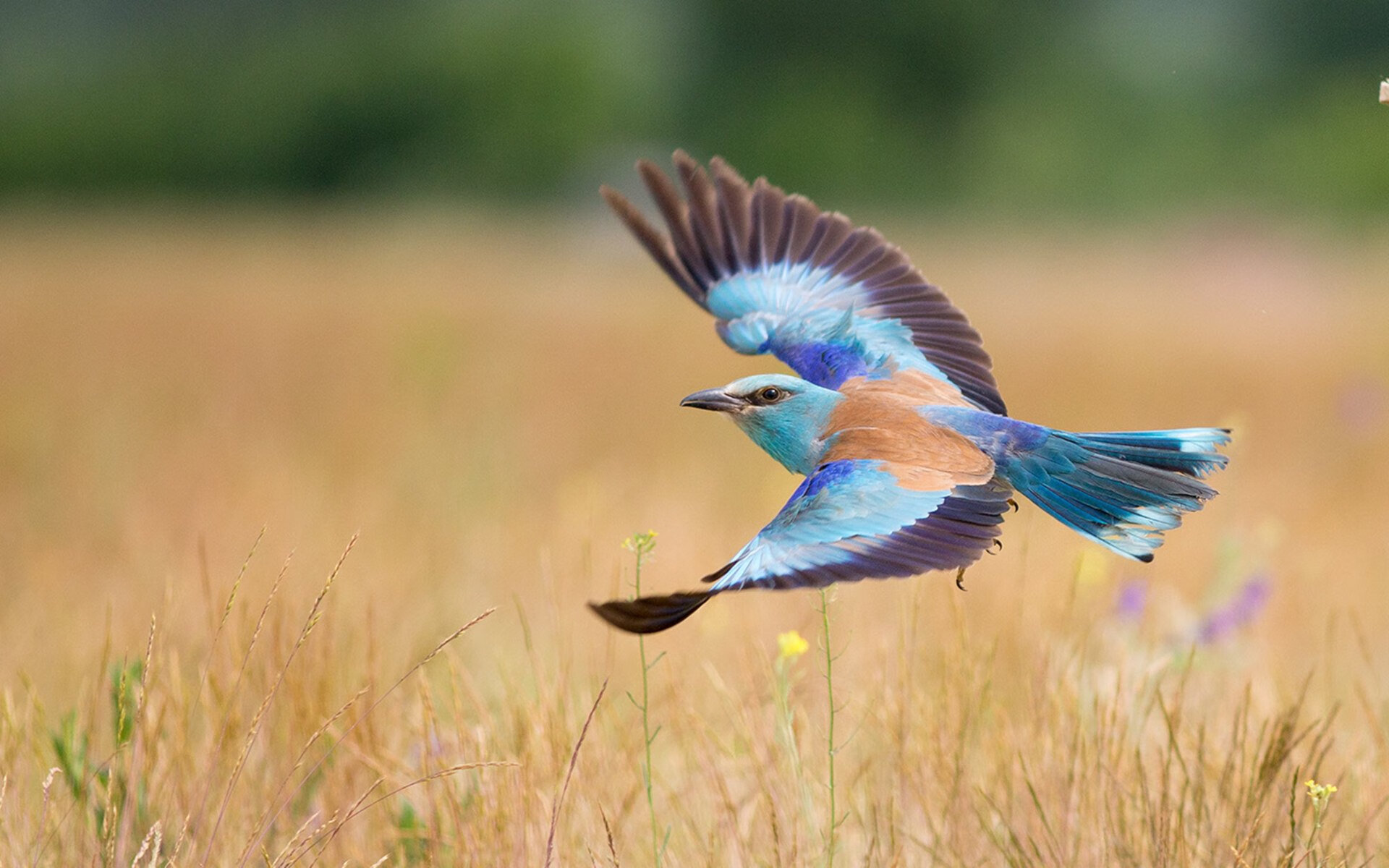 开云官方-体育新闻中心发布体育内容原创质量评估指标，体育运行评价指标