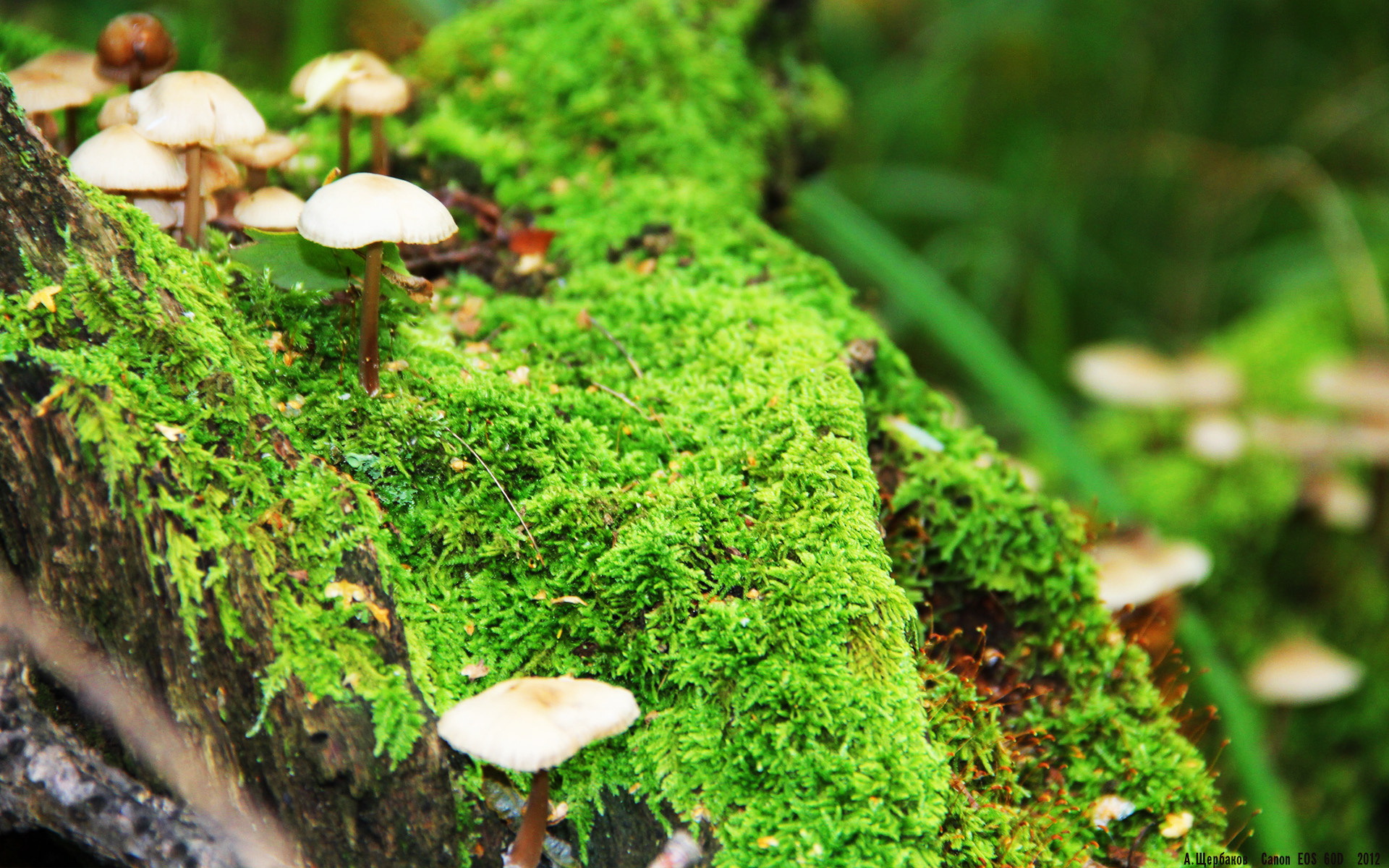 kaiyun开云·官方网站-体育新闻中心开展体育传媒人才数字技能提升培训，数字媒体人才培养