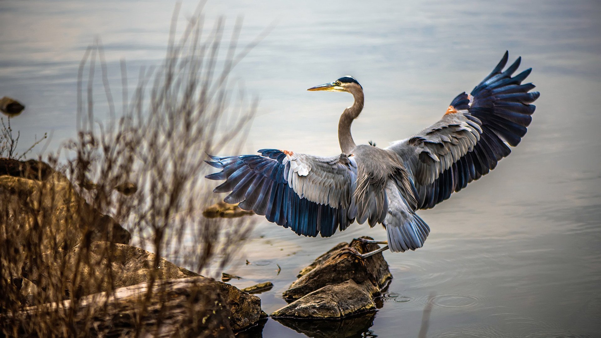 Kaiyun APP-国际热身赛中国女足逆袭 球员发挥备受肯定，国足热身赛比赛结果