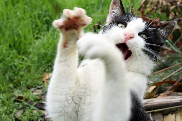 开云体育-球员在转换进攻中节奏预判的重要性，球员进阶转移