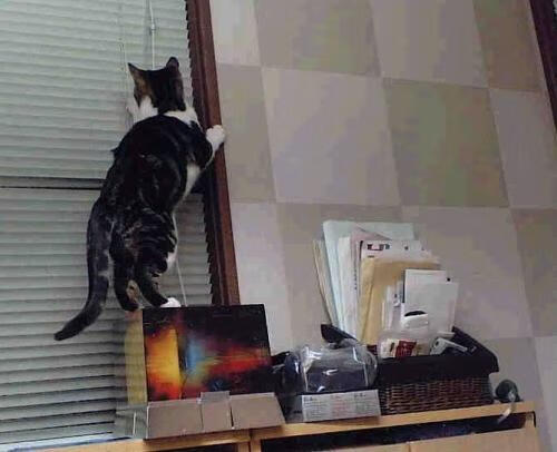 开云·体育官网-俄罗斯男篮在世界锦标赛中拼搏奋战，重回世界强队行列，俄罗斯男篮冠军