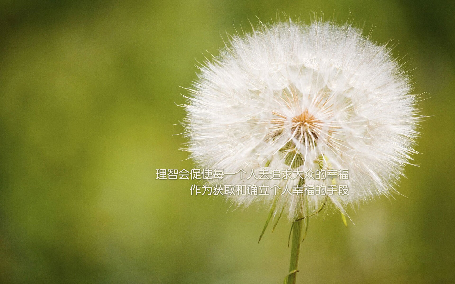 kaiyun登录入口-哈登单节五助攻快船进攻节奏流畅，哈登单打集锦