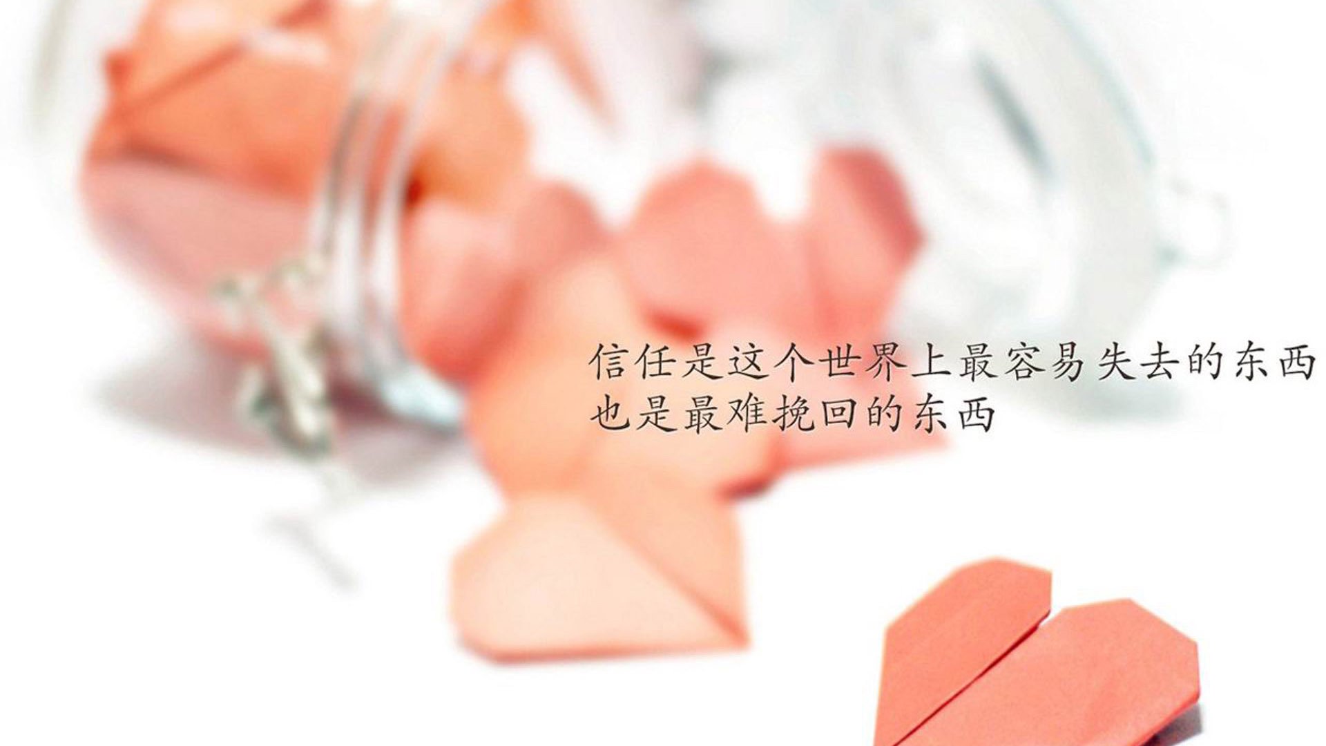 kaiyun官方入口登录-普费夫跳台动作优雅引发媒体关注，普菲费尔