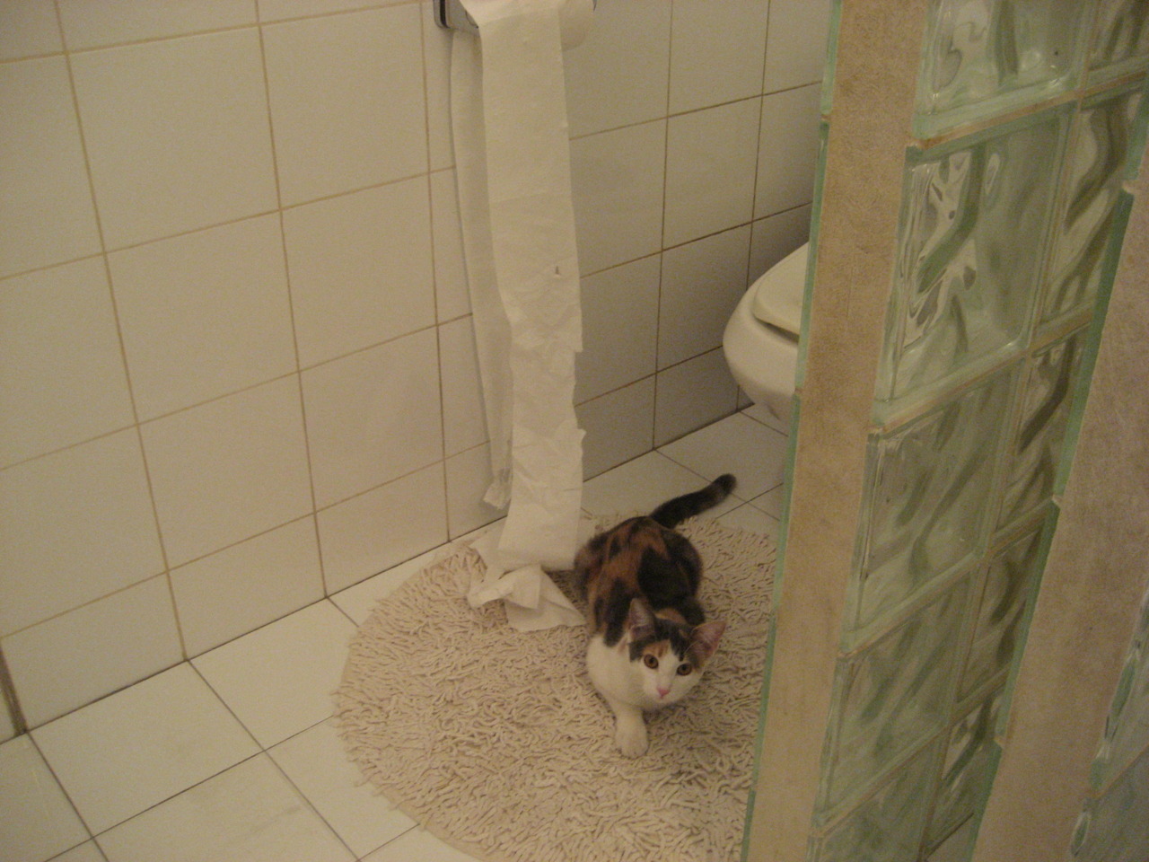 开云·Kaiyun网页版-中国篮球明星能否成为城市文化符号，篮球明星中国人