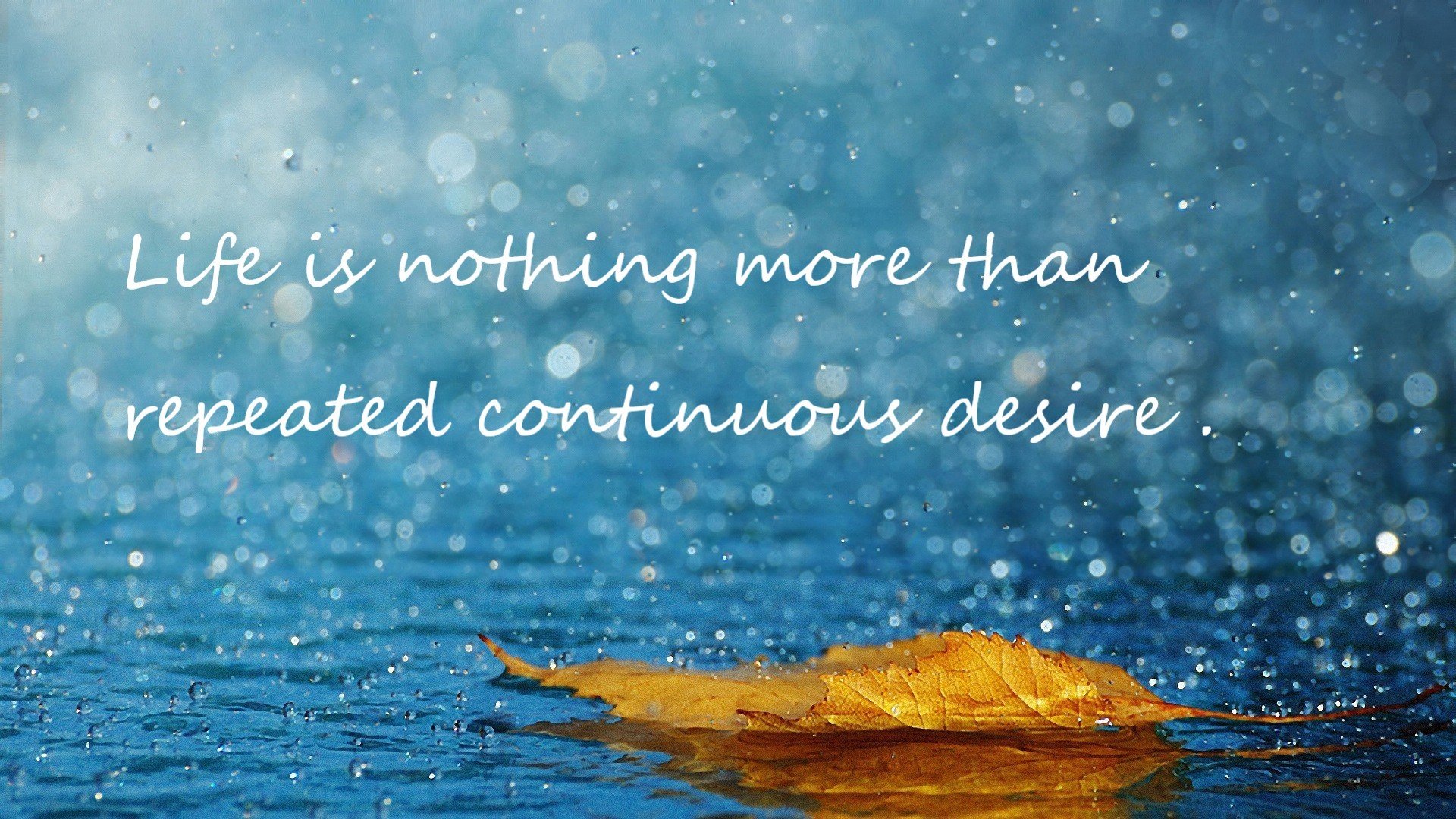 开云·体育官网APP下载-体育新闻中心协助本地赛事打造数字档案内容系统，体育新闻现场报道