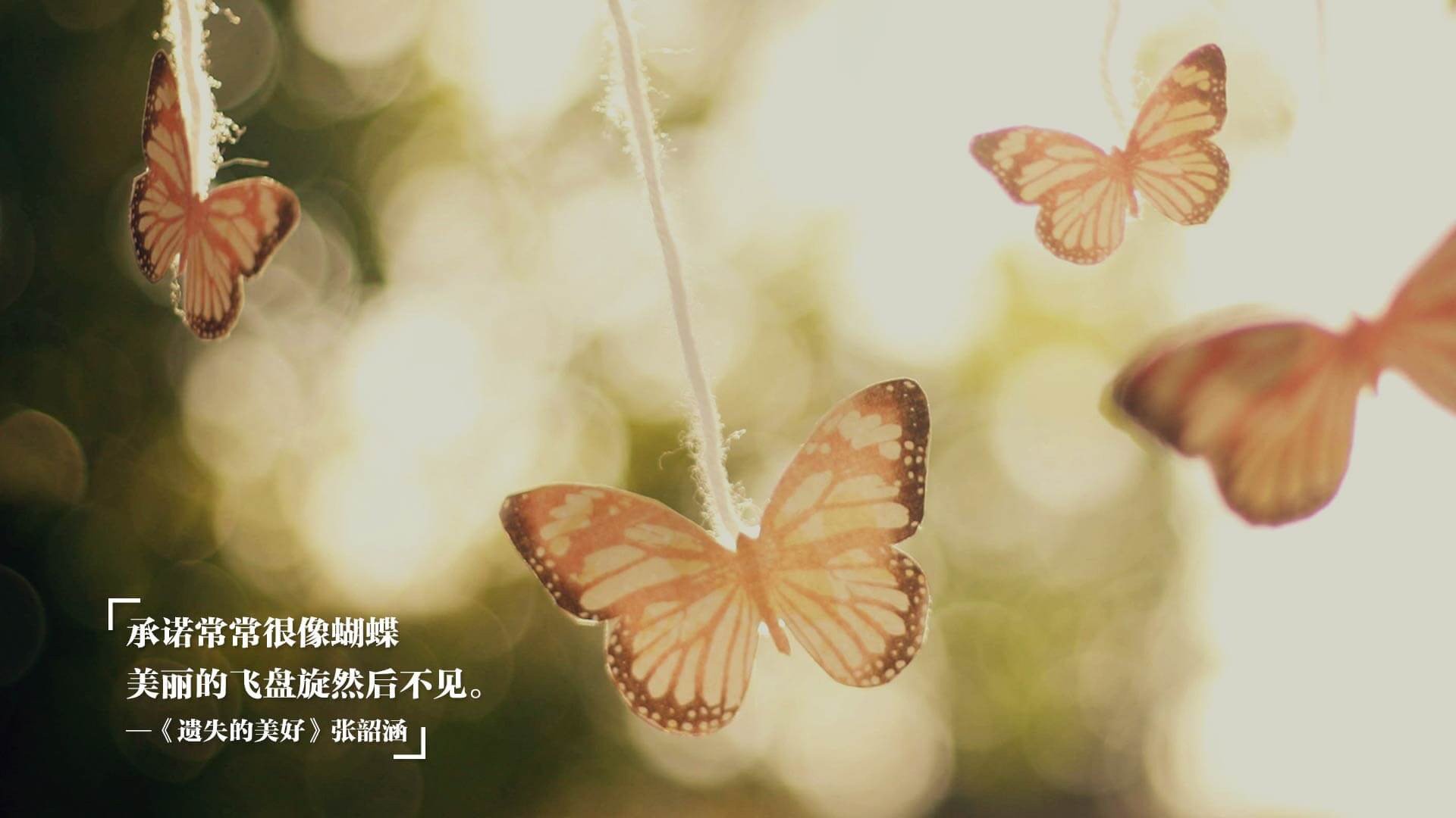 kaiyun官方网站-努涅斯能否联手穆里尼奥？帕切科发声建言，努涅斯集锦